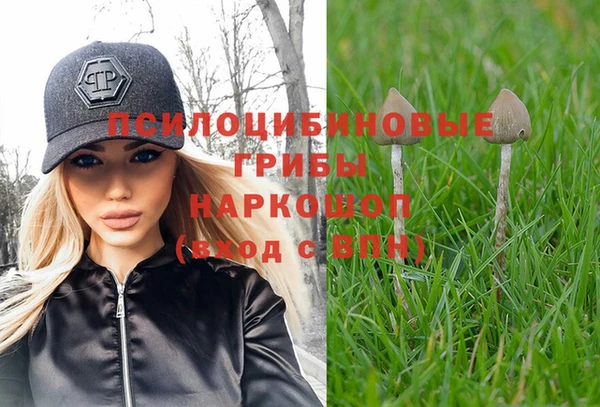 марки nbome Гусь-Хрустальный