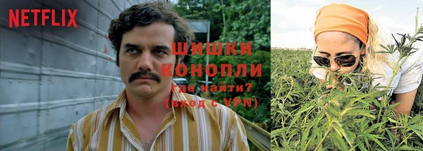 мескалин Дмитриев