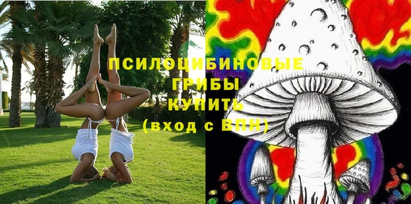 мескалин Дмитриев