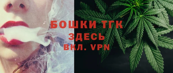 дурь Гусиноозёрск