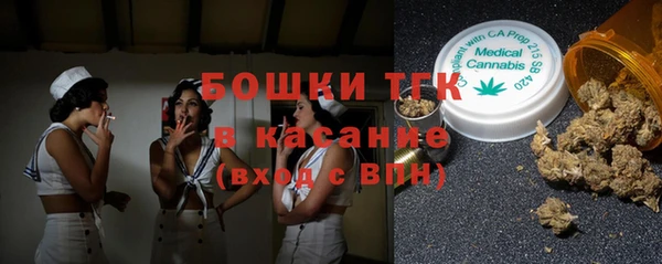 дурь Гусиноозёрск