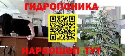 ПСИЛОЦИБИНОВЫЕ ГРИБЫ Изобильный