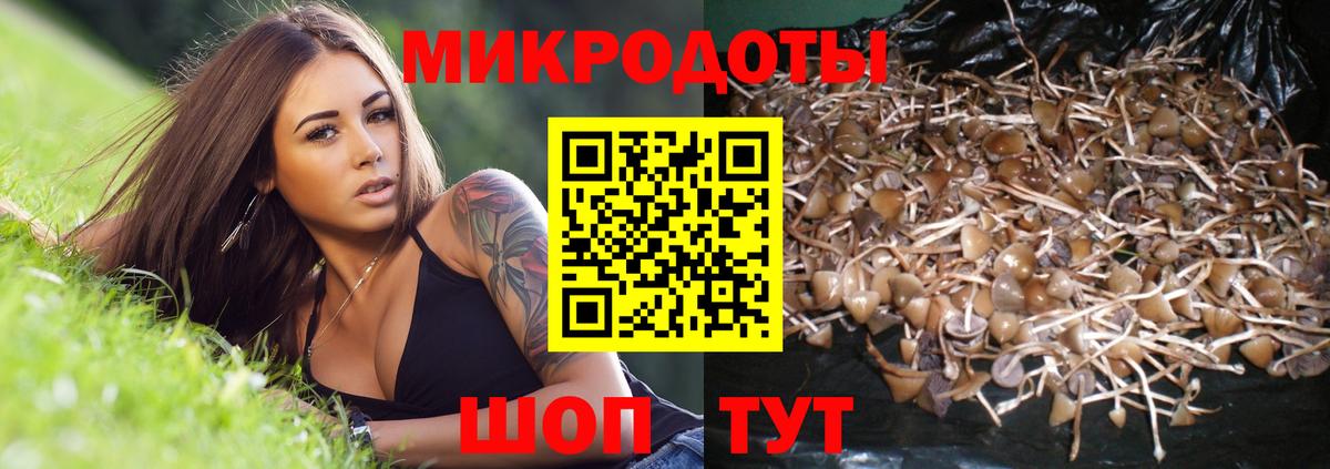 Галлюциногенные грибы Cubensis Сочи