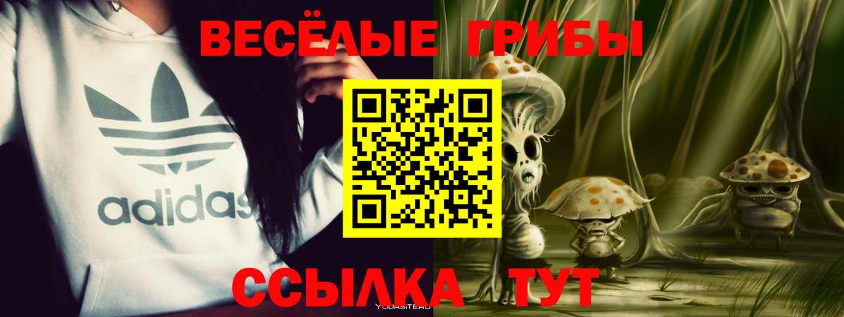 Псилоцибиновые грибы GOLDEN TEACHER  Вход с VPN  Псилоцибиновые грибы MAGIC MUSHROOMS  Сочи 